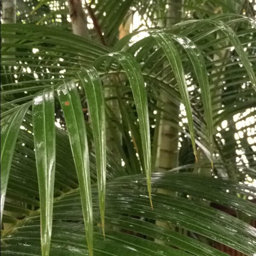 Bundle for Bella 💕